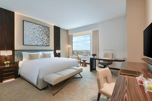 Modern big bedsit 